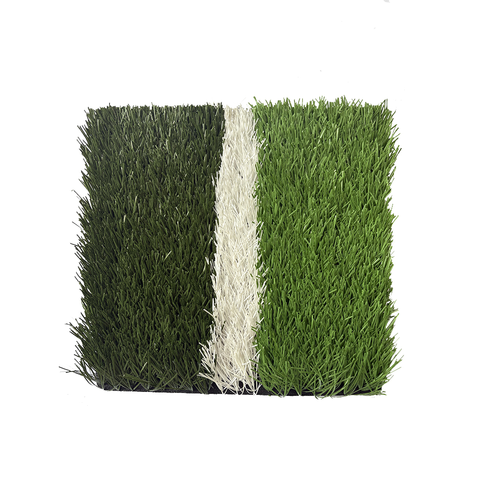 Football grass  L6P0
