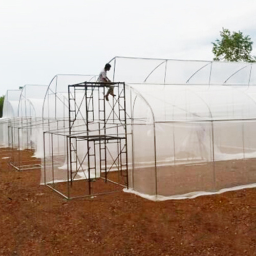 Agriculture Insect Proof Mesh Screen Manufacturers and Agriculture Insect Proof Mesh Screen Suppliers