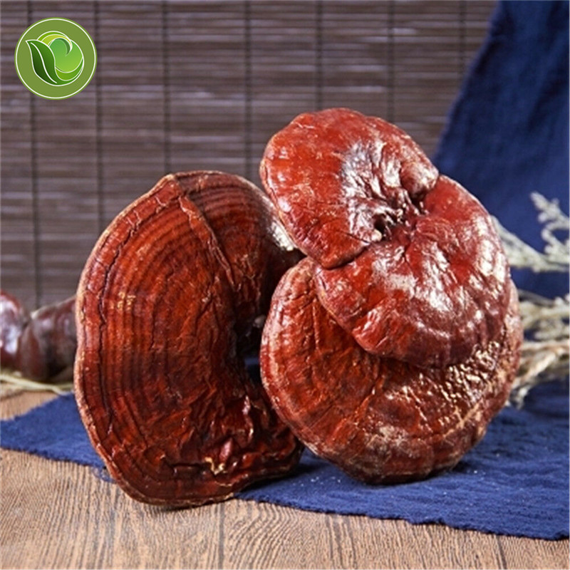 Dried Wild Lingzhi Purple Ganoderma Lucidum Herbal Organic Reishi Mushroom