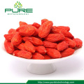 Health fruit ningxia zhongning low pesticide dried goji berry with much Vitamin C