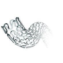 Bare metal Coronary Stent Delivery Systems