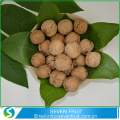 Best Quality Inshell and shelled Chandler Walnuts
