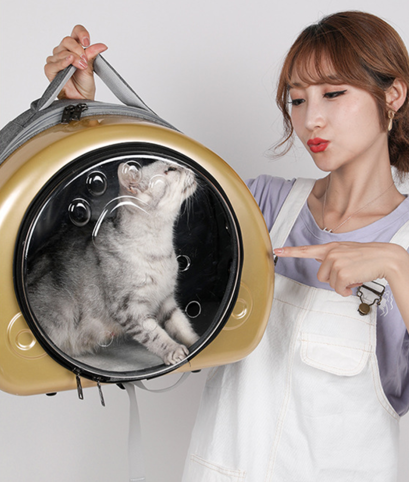 Pet Carrier Price