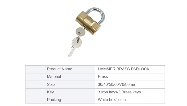 3  Brass Padlock