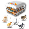 220V/12V Eggs Incubator Brooder Bird Quail Chick Hatchery Incubator Poultry Hatcher Turner Automatic Farm Incubation Tools