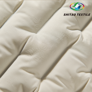 Integrated Jacquard‑Woven Down Channel Shell Fabric
