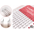 LUCKY LASH Premade Russian Volume Fans 3D-10D Eyelashes Short Stem Lash, False Individual Pre made Eyelash Extensions Supplies