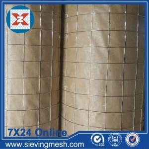 6x6 Galvanized Welded Wire Mesh