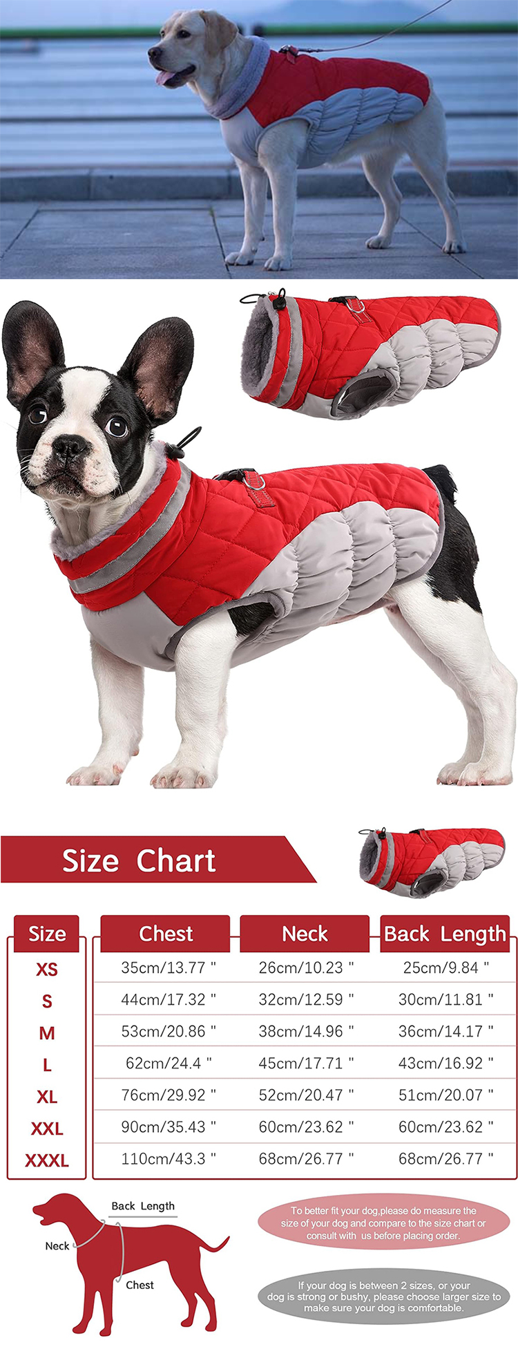 pet snow jacket   (6)