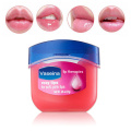 Lip Makeup Care Vaseline Lip Therapy Petroleum Jelly Lip Balm Original Cocoa Brulee 7g Lipstick gift lip brush