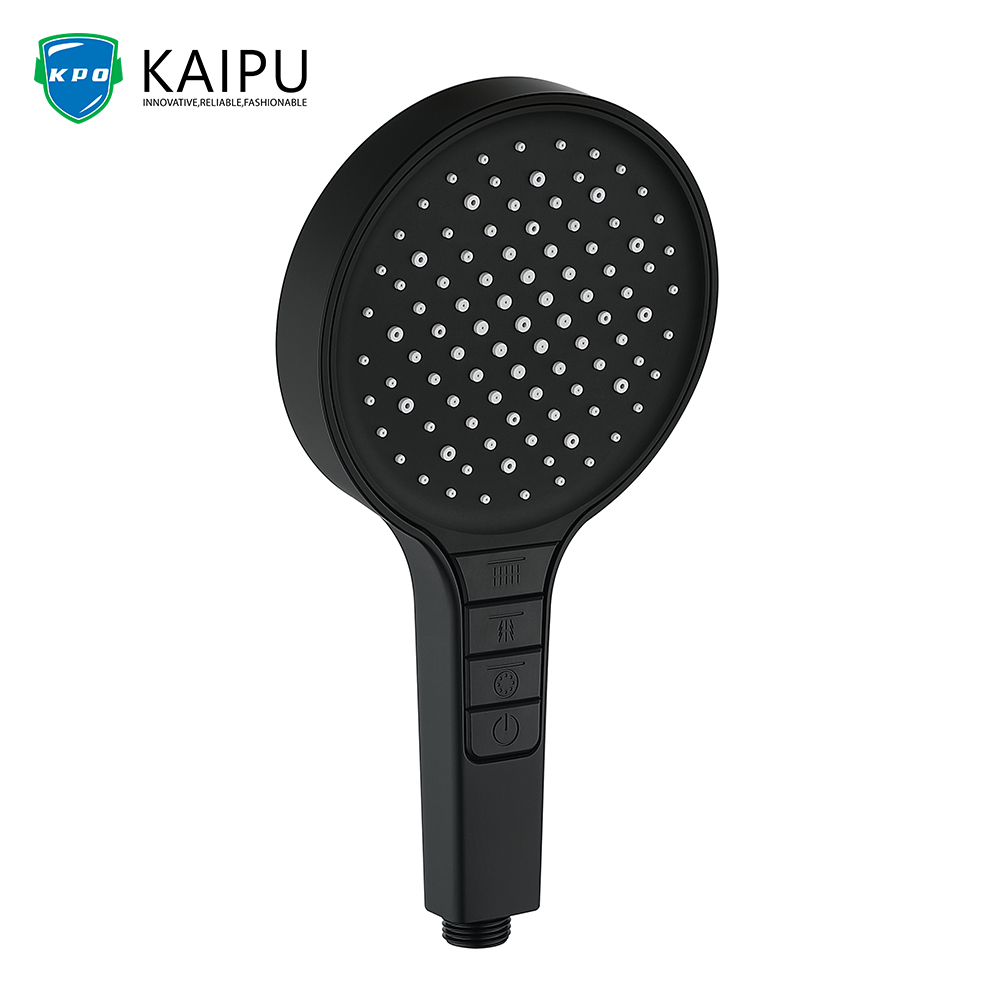 Hand Held Shower (9)