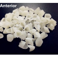 10 Bags Anterior