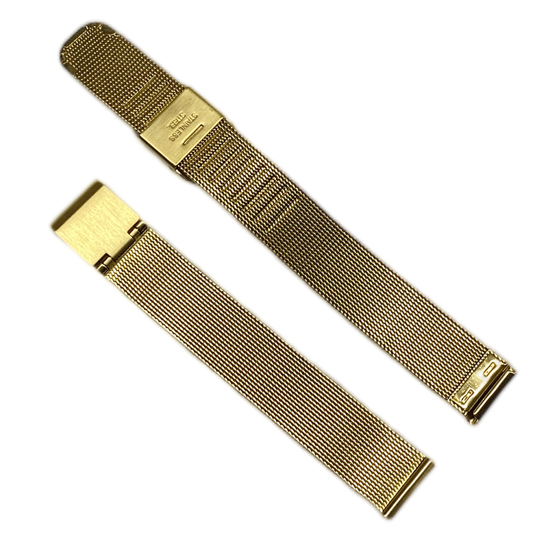 watch band with hook buckle