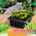 12 Hole Nursery Pots Plant Seed Grows Box Nursery Seedling Starter Garden Yard Tray Hot Nursery Box #25