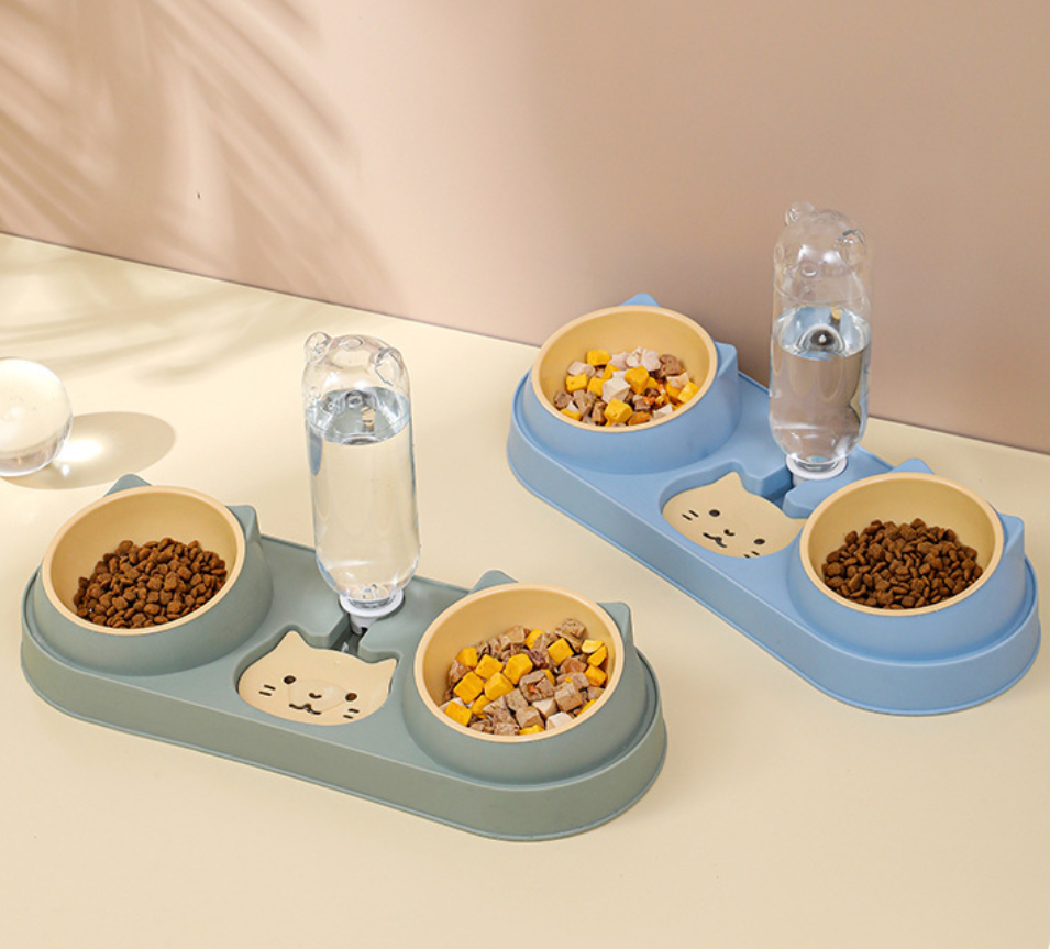 Dog Bowl