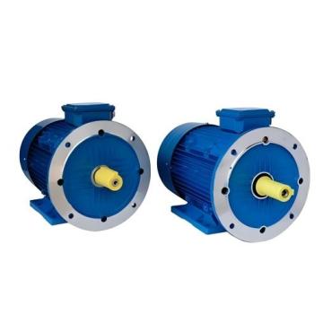 XTPMS90L15-4Self-starting permanent magnet motor