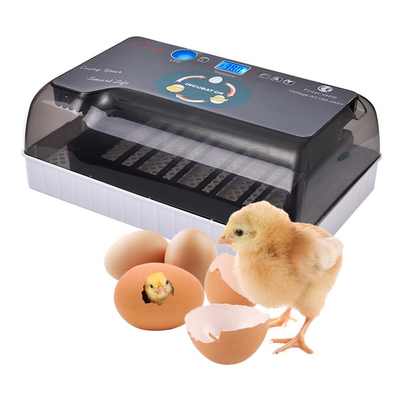 Automatic Digital 12 Eggs Incubator Hatcher Large Capacity Practical Incubators For Chicken Poultry Quail Eggs Home Use