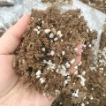 2019 Peat Soil Peat Moss And Perlite Mixed Soil Well Drained Mix Peat And Sand Soil