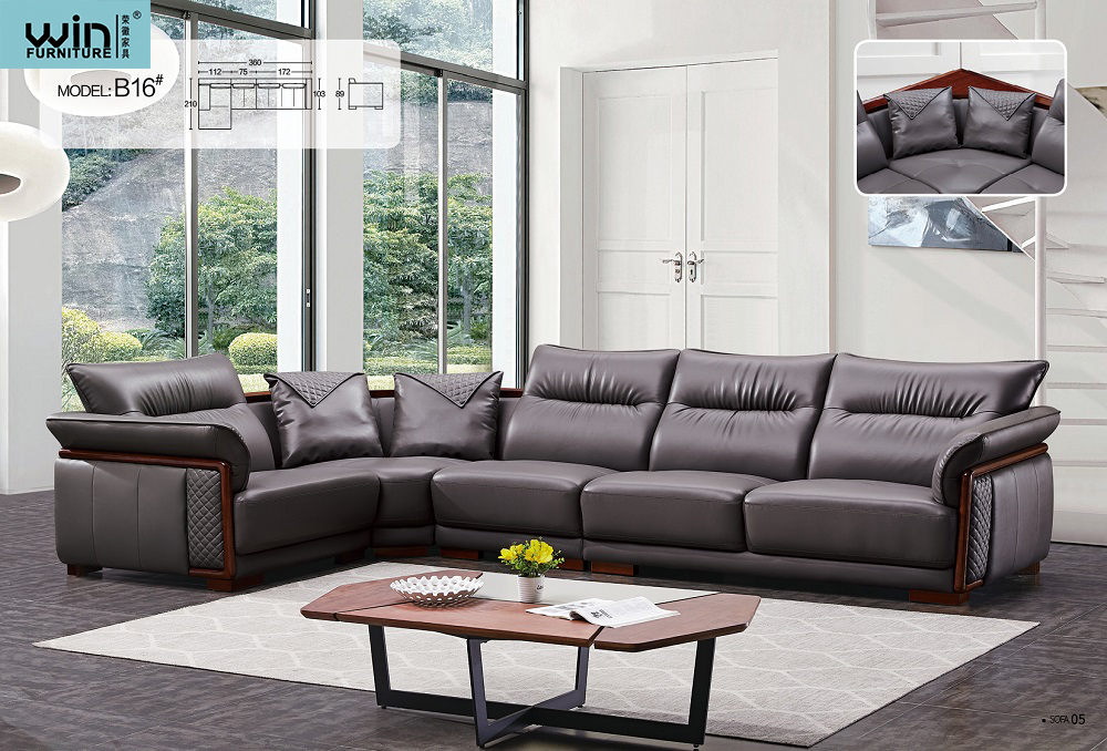 Living Room Sofa
