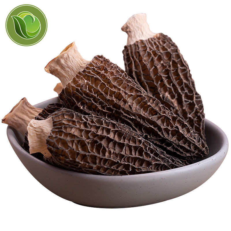 Premium Dried Wild Morel Mushrooms