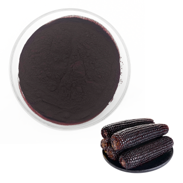 Purple Corn Extract 10% 25% Anthocyanins