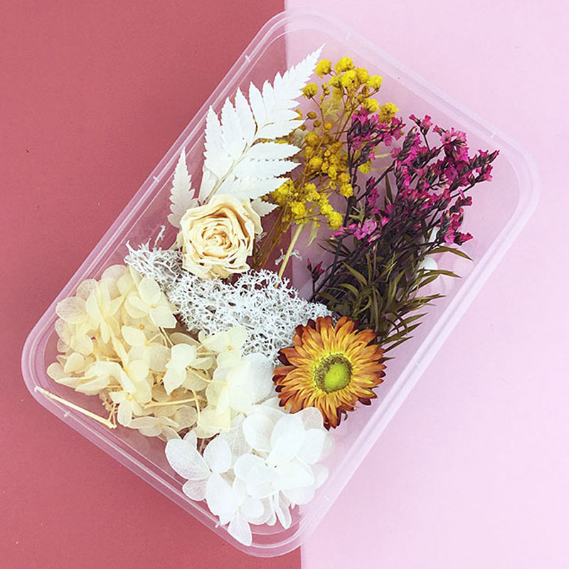 1 Box Real Dried Flower Dry Plants For Epoxy Resin Pendant Necklace Jewelry Making Craft DIY Accessories Valentine's Day Gift