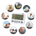 Digital Dual Kitchen Timer Alarm Clock Cycle Timer Kitchen Cooking Timer Count Up Down Timer With Magnetic Back For Kitchen