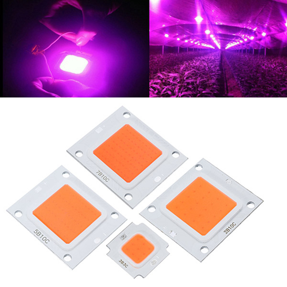 Newest 50W 70W 100W COB LED Chip Indoor Plants Flower Garden Plant Grow Lamp Light Chip DIY Full Spectrum Diode LED Grow Lights