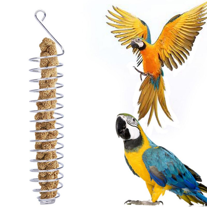 Stainless Steel Parrot Feeder Food Fruits Vegeteable Basket Cotaniner Holder Feeding Device Bird Cage Foraging Toy