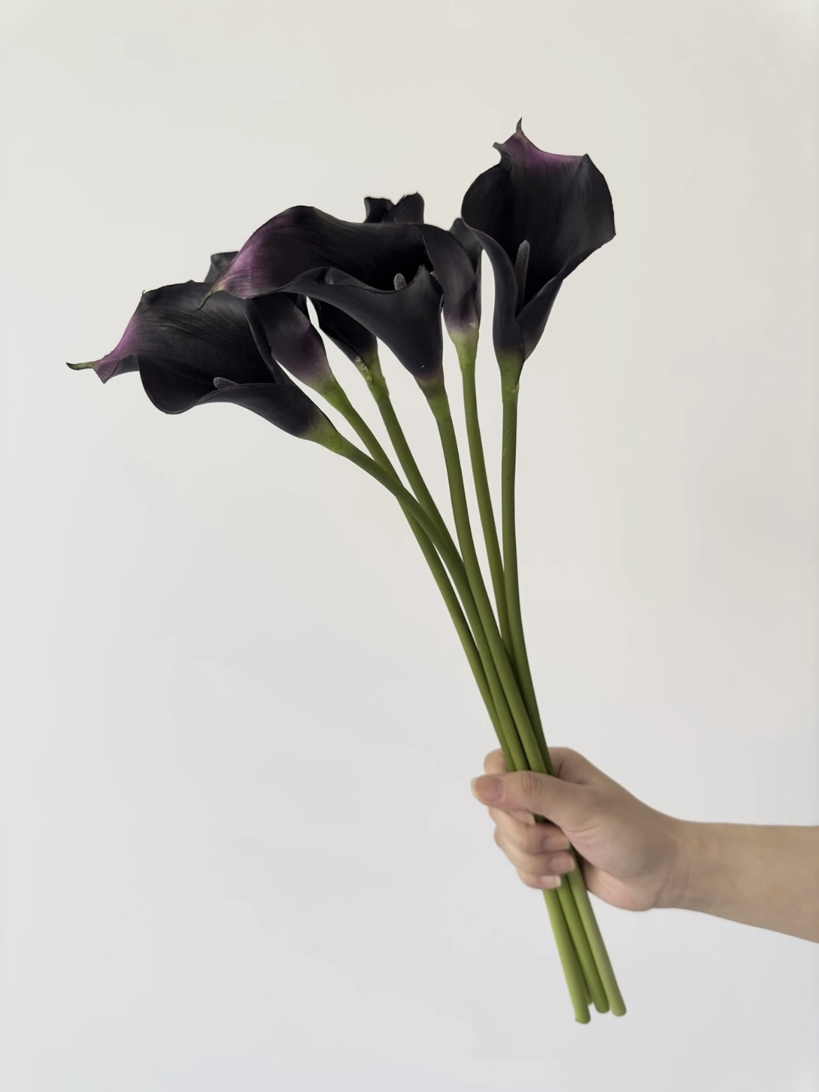 fresh cut of black calla lily6