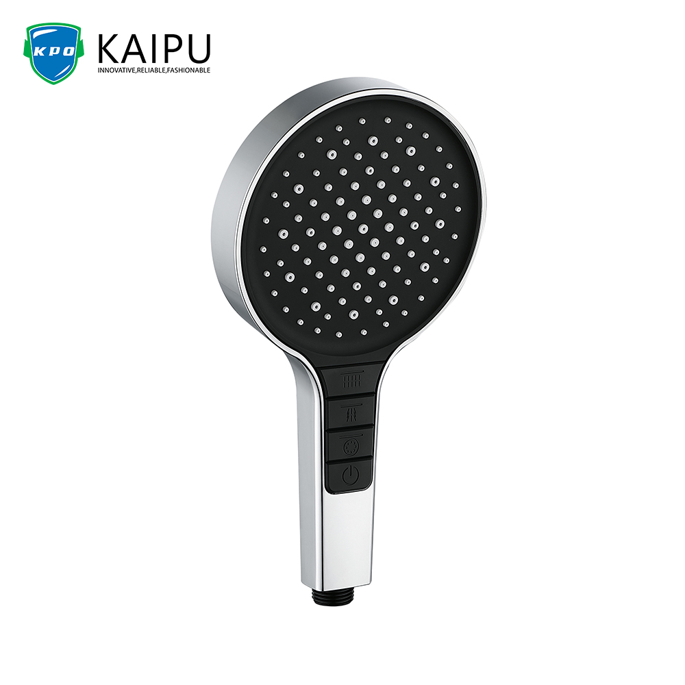 Hand Held Shower (12)