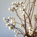 About 45cm A Bunch Mushrooms Grass Natural Small Ginkgo Nuts Plant Bridesmaid Bouquet Home Decoration Dried Flowers No Vase