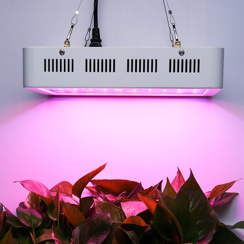 Full Spectrum LED Grow Light for indoor Manufacturers and Full Spectrum LED Grow Light for indoor Suppliers