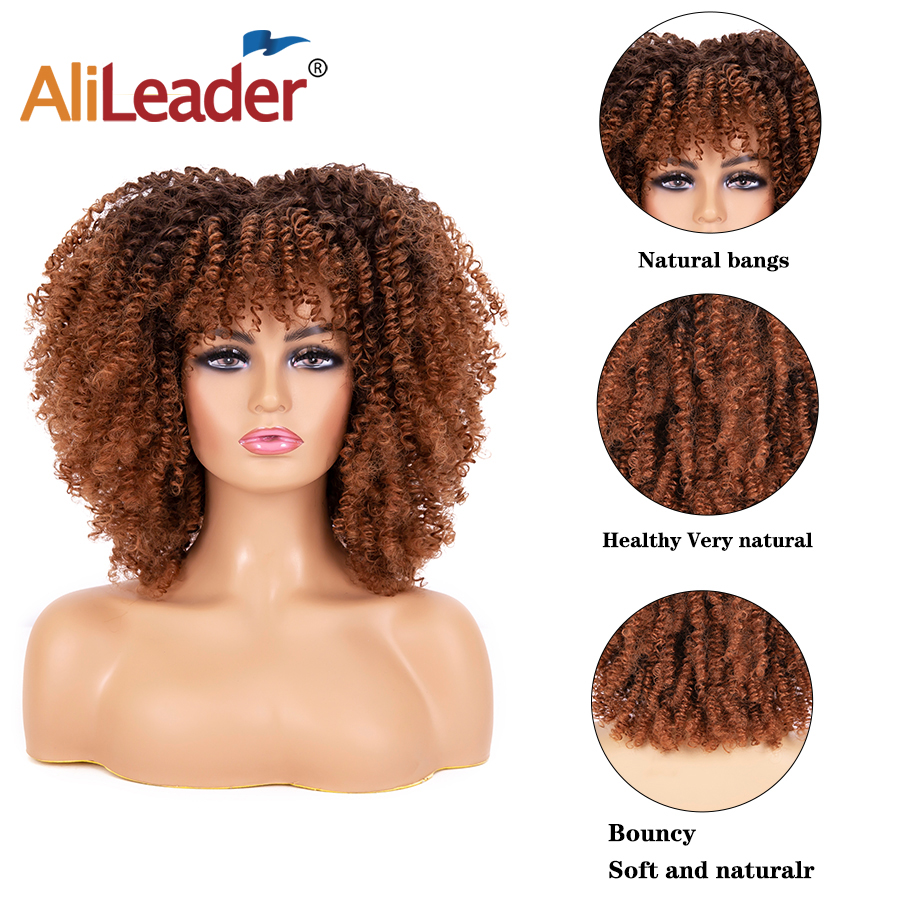 Afro Curly Wig 23