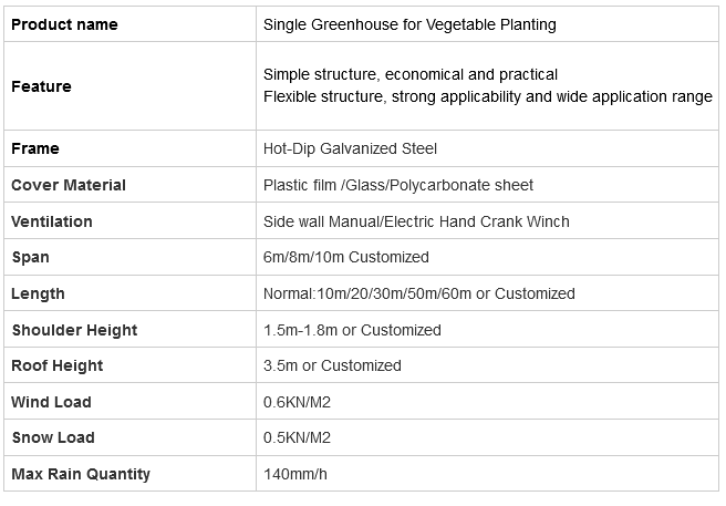 Single Greenhouse for Vegetable