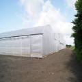 Skyplant Large Multi Span Greenhouse for Agriculture