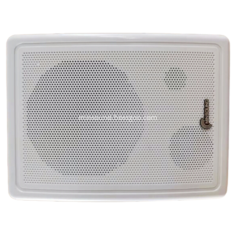 Wall Speaker