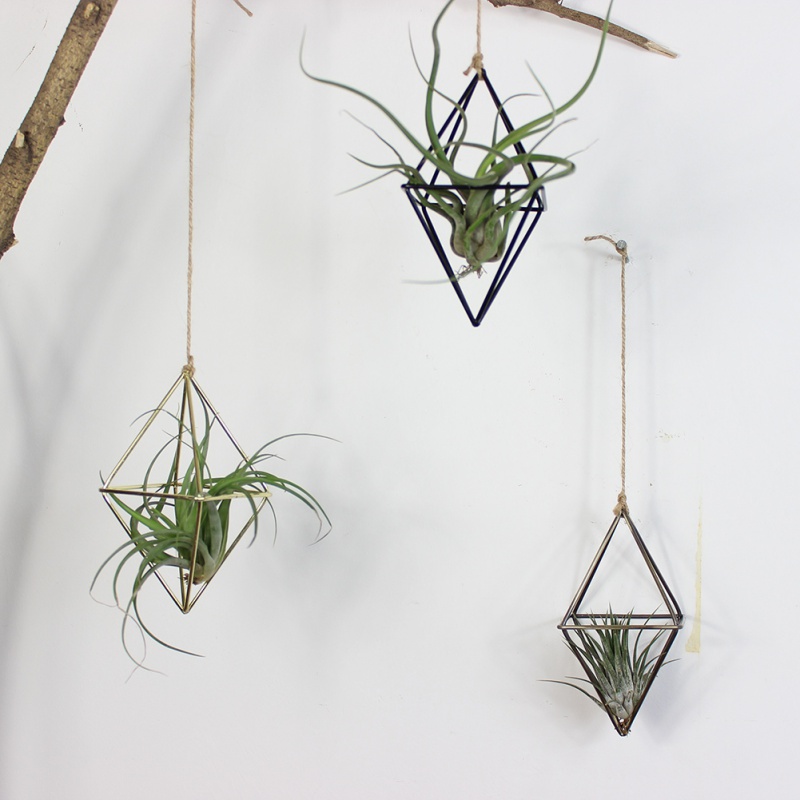 New Tillandsia Air Plants Rack Metal Geometric Iron Art Rustic Flower Planter Pot Plants Rack Hanging Baskets Garden Supplie