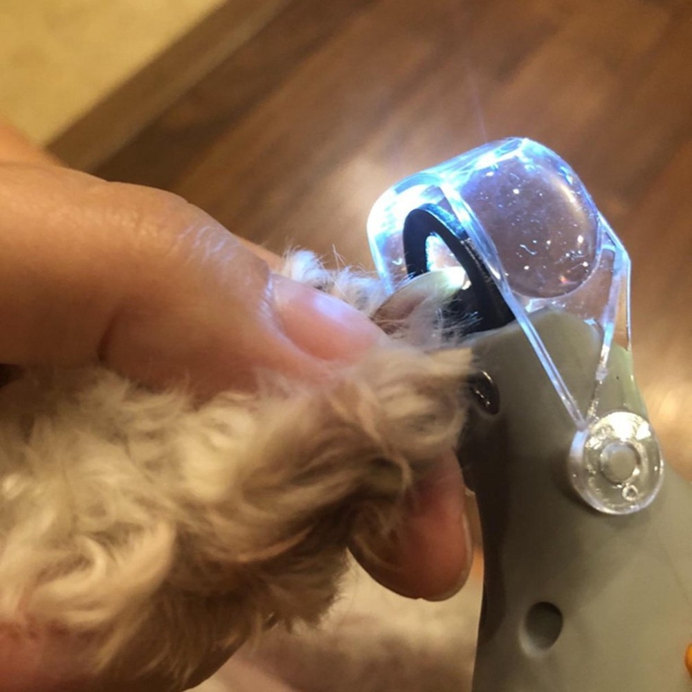 Pet Nail Clipper Products With LED Light Pet Cleaning Tools Dog Cat Clippers Nail Claw Grooming Scissors Cutter