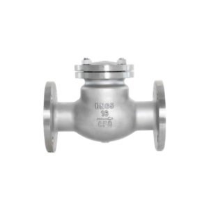 DN65 Check Valve Stainless Steel