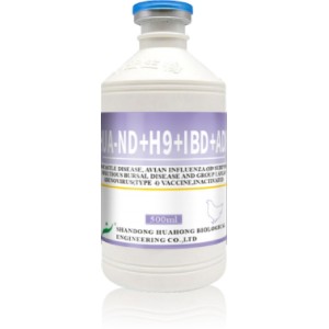 ND H9 IBD FAdV-4 Inactivated Vaccine