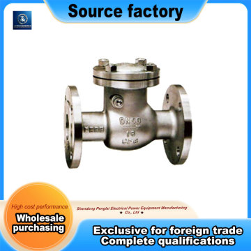 Stainless Steel Swing Check Valve