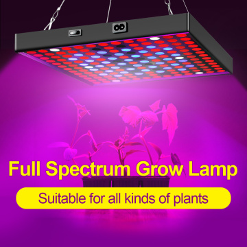 LED Grow Light Full Spectrum 2000W Phytolamp for Indoor Plant 2835 Leds 265V Phyto Growth Lamp Hydroponics Phytolamp for Plants