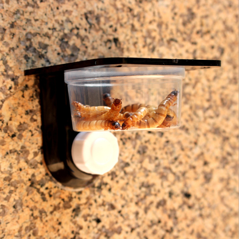 Reptile Food Water Feeding Bowl Spider Breeding Tank Box Dish Pot Suction Cup