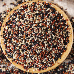 Premium Tricolor Quinoa For Export