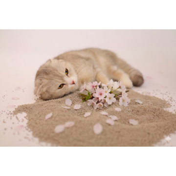 Mixed Size Cherry Blossom Scented Activated Charcoal Bentonite Cat Litter