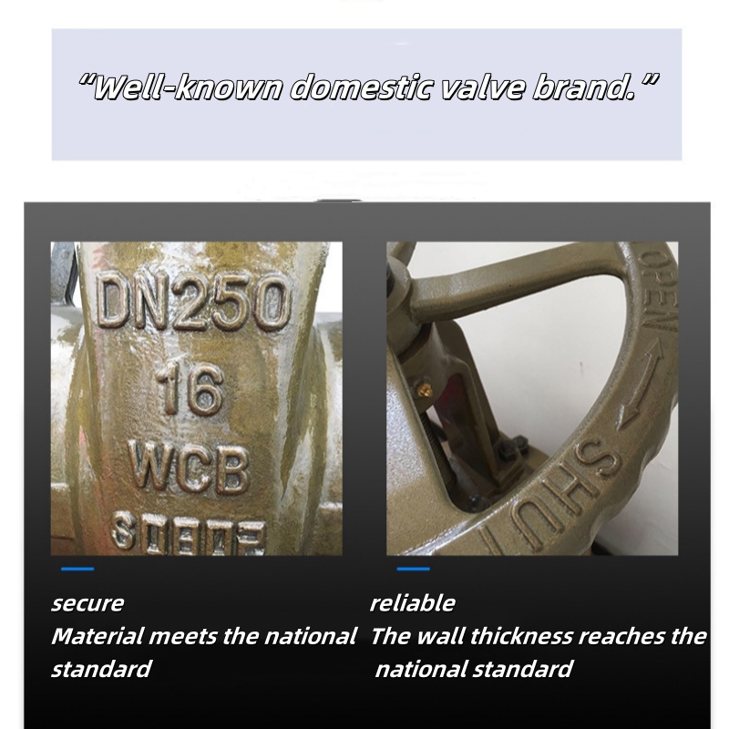 Cast steel gate valve (9)