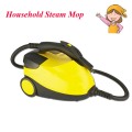 Household High Temperature Steam Mopping Machine High Pressure Steam Cleaner for Car, Home