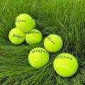 WILKIN 919 Professional Tennis Balls Competition Training Tennis Balls High Elastic Resistance Sports Tennis Ball 3 Pcs in a box