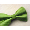 Men's Woven Polyester Bowtie